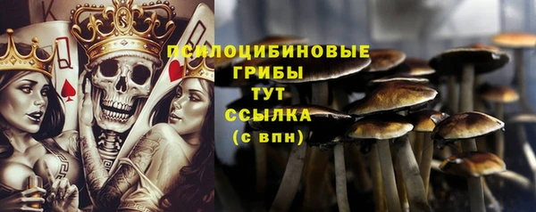 герыч Волоколамск